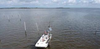 Monitor Water Quality